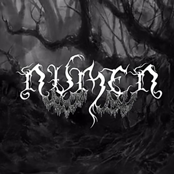 NUMEN – TRACK PREMIERE