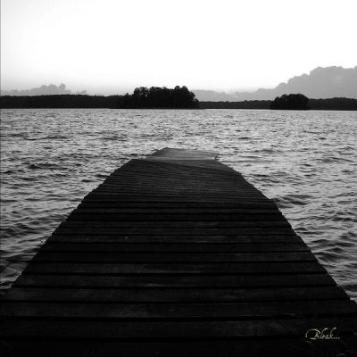 AUSTERE ISOLATION - Bleak // CD