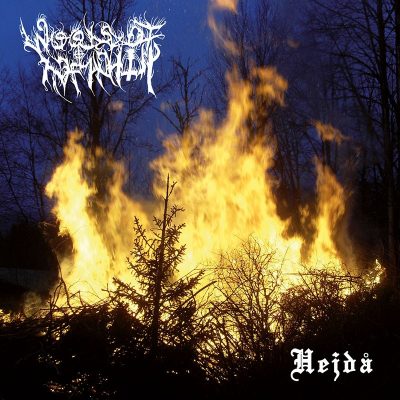 WOODS OF INFINITY - Hejda // CD