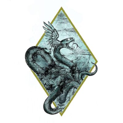 TEMPESTARII - A constellation of dead stars // LP