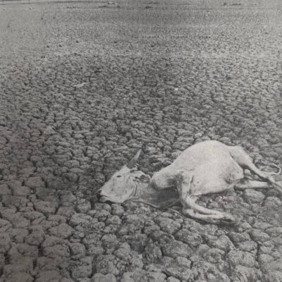 VUKARI - Omnes Nihil // LP