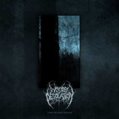 Woods of Desolation - Torn Beyond Reason // LP amber/black marble